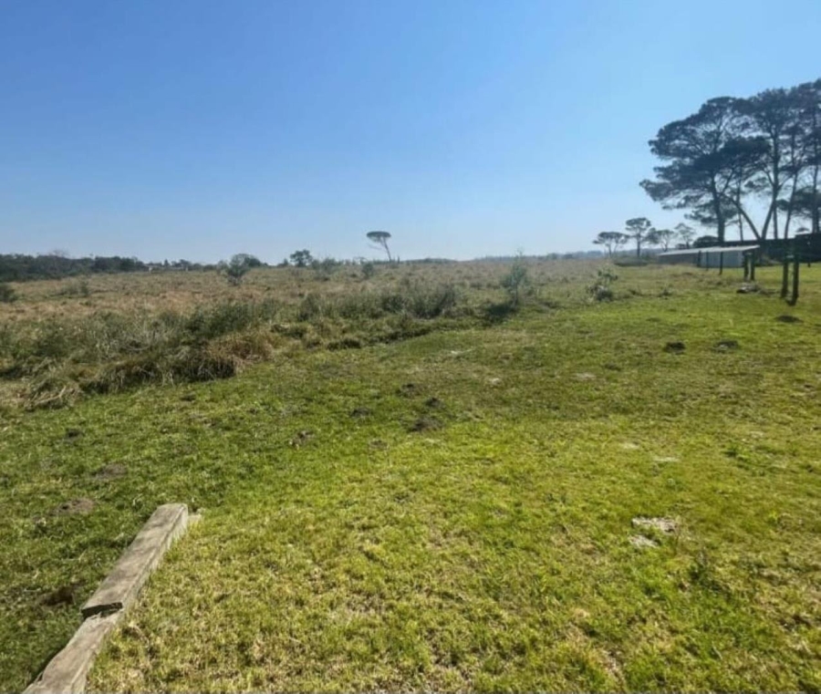 Commercial Property for Sale in Cove Ridge East Eastern Cape